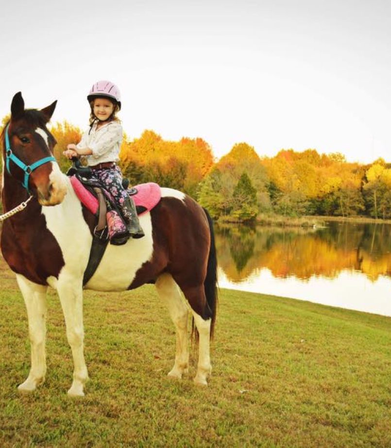 45002972_2064344330253211_6088250067750223872_n