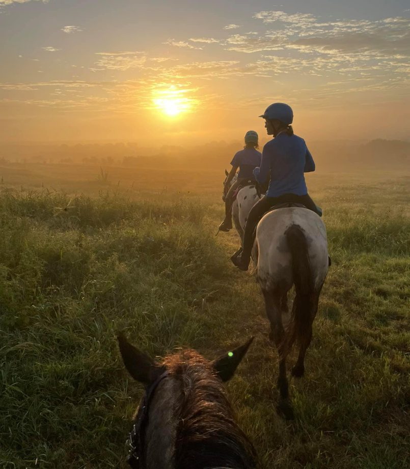 475184100_9371002439587327_2068033212809529965_n