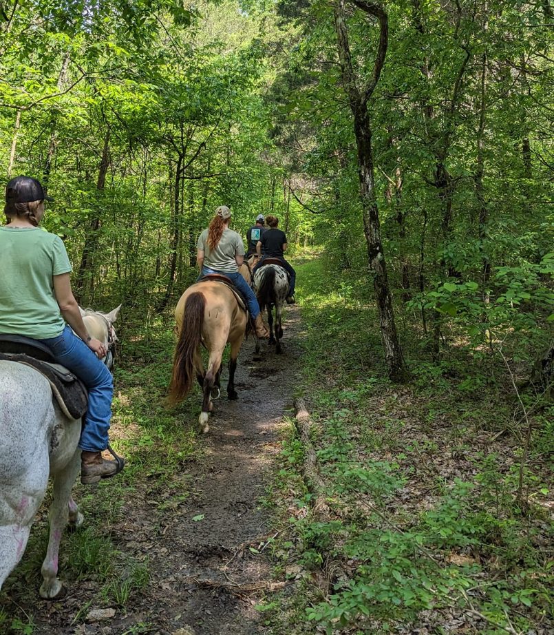 487327343_1252993770166321_7258662040363262742_n