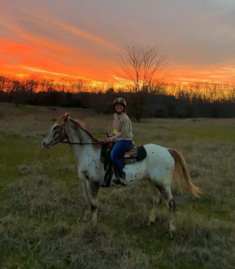 490437658_1270503068415391_6645483210949785040_n