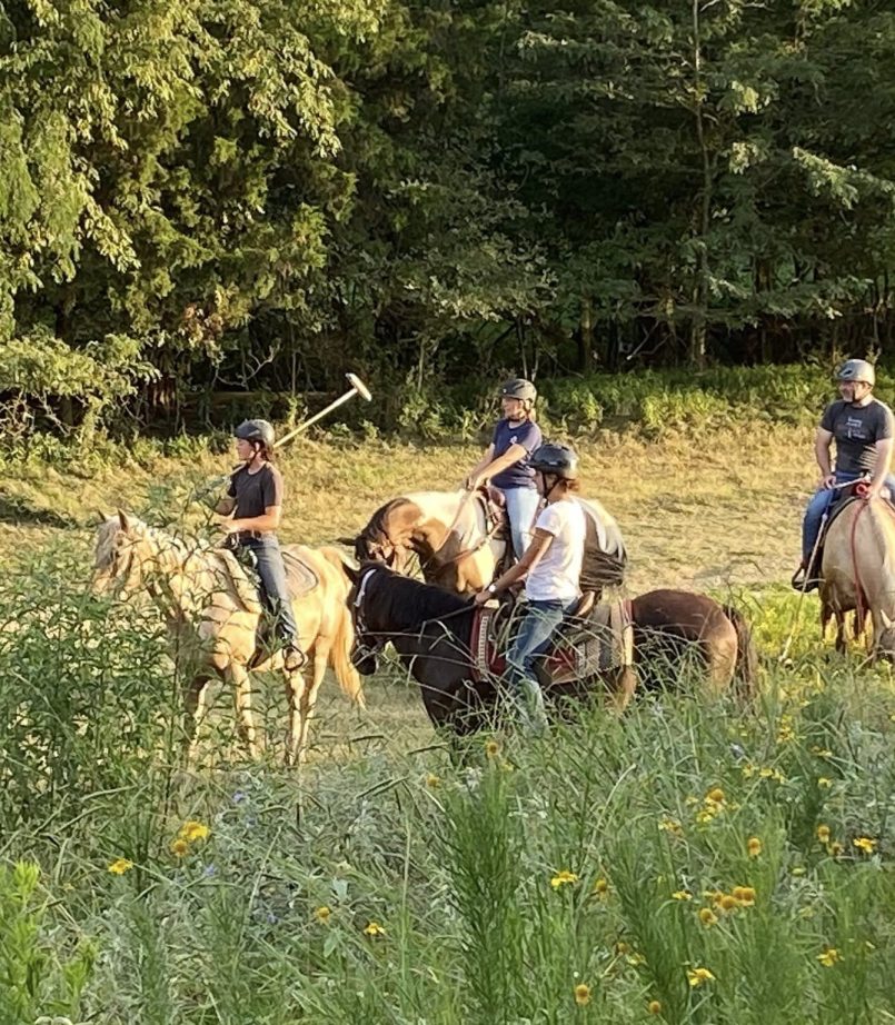 490968615_1270086401790391_4897142317588049853_n